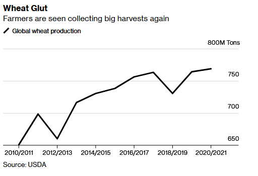 Wheat Glut